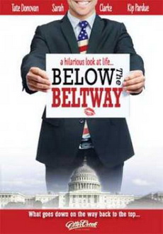 "Below the Beltway" (2010) PL.DVDRip.XviD-PSiG